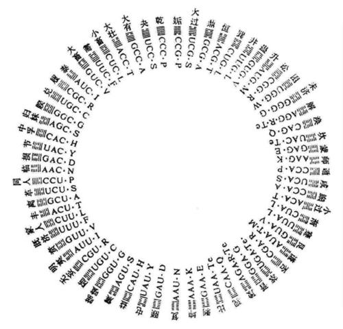 易经二进制与64位基因组合一脉相承