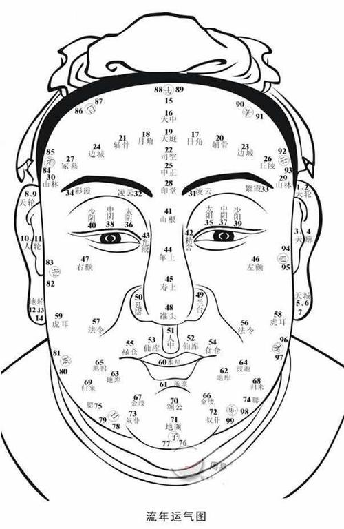 面相算命之流年运气图 - 面相学