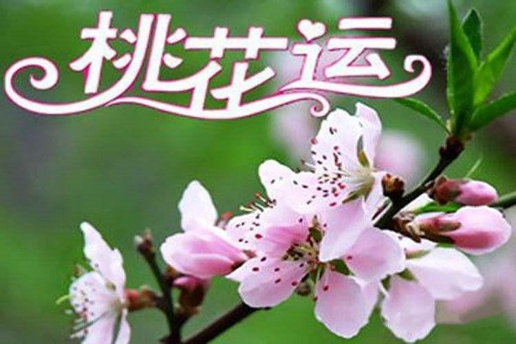 这五种八字命局桃花运不断_八字算命_免费八字算命