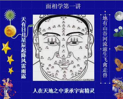 陈有道面相学12集