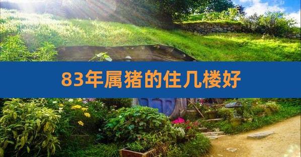 83年属猪的住几楼好