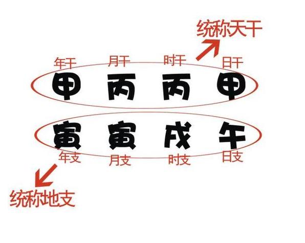 年干和年支组成年柱,月干和月支组成月柱,日干和日支组成日柱,时干和