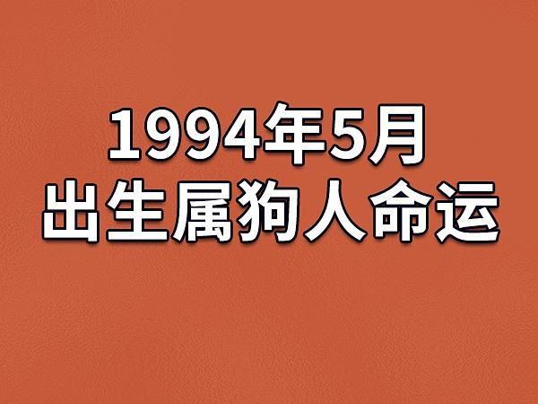 1994年5月出生属狗人命运