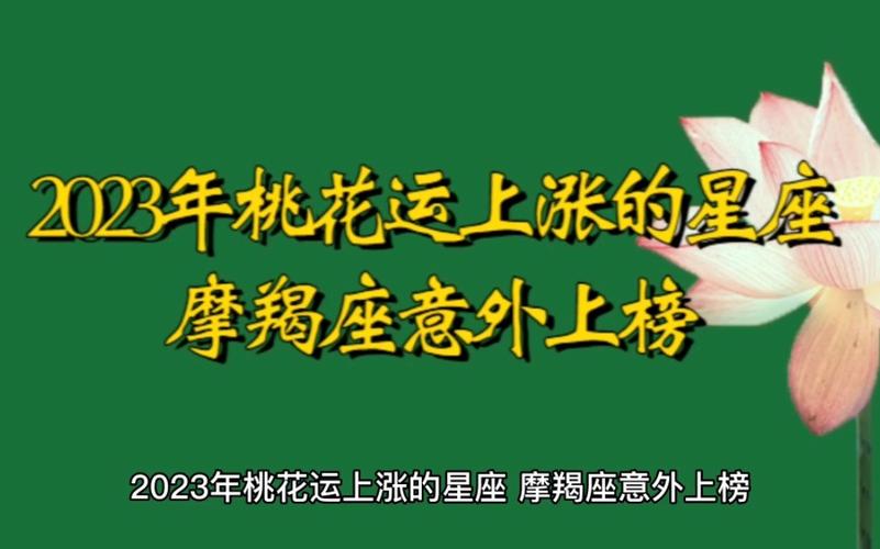 2023年桃花运上涨的星座 摩羯座意外上榜