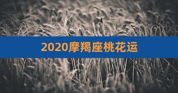 2023摩羯座桃花运