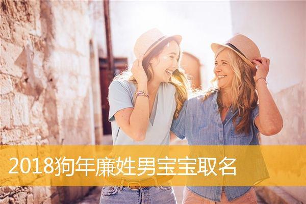 2023狗年廉姓男宝宝取名,2023狗年廉姓男宝宝好听的名字_取名宝典