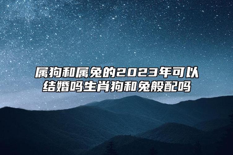 属狗和属兔的2023年可以结婚吗?生肖狗和兔般配吗