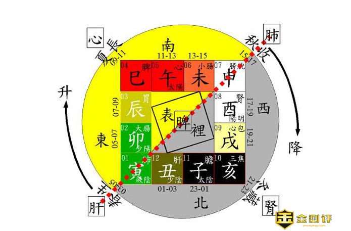 辰时出生五行属什么?十二时辰时间表详细对应表?