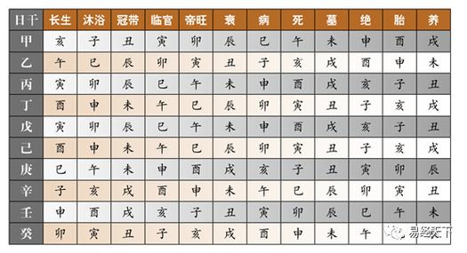 天干通根与地支透干