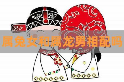 2023-12-17精算运势网热度:20239属相婚配:男属龙和女属兔相配吗.