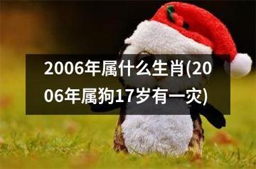 2006年是一个特殊的年份,因为它是传统生肖中的狗年.